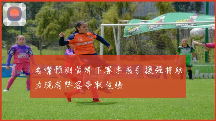 名嘴预测黄蜂下赛季或引援强将助力现有阵容争取佳绩