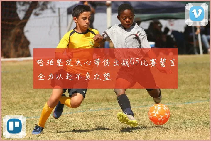 哈珀坚定决心带伤出战G5比赛誓言全力以赴不负众望