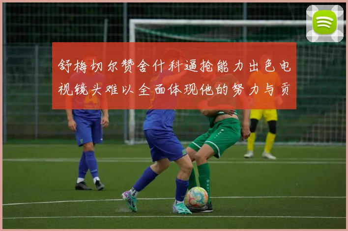 舒梅切尔赞舍什科逼抢能力出色电视镜头难以全面体现他的努力与贡献